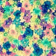 ちーず