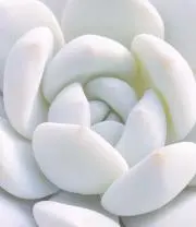 ryu☆の画像
