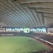 ANAの画像