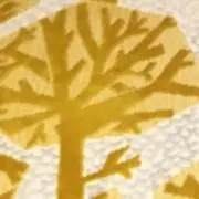 tree.の画像