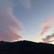 First Cの画像