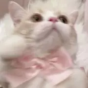 紗奈の画像