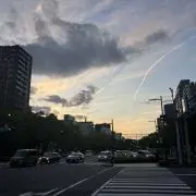 りりーの画像