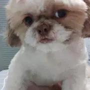 Bruceの画像