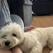 りり