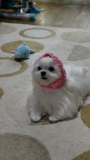 ナッちゃんの画像