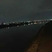 ヴィヴィ君の画像