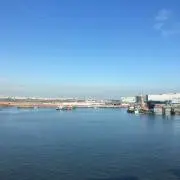 こわたの画像