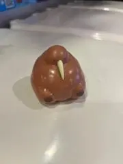おもちの画像