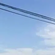 芽衣