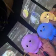 こたつ最高さんの画像