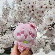 ながいた【6月末まで売りきり中！】の画像