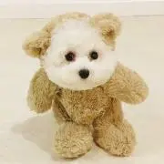 さくの画像