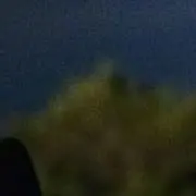 さら