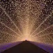 つなの画像