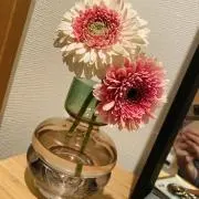 ぴこの画像