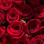 wa'jm ※ご確認下さいの画像