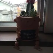 マヨネーズ