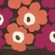 Ｒ★の画像