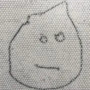 ぽーの画像