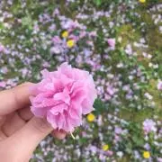 プリザーブドフラワーアレンジnobmiの画像