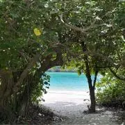 Kareeの画像