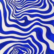 ひょの画像