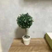 ぺりはちの画像