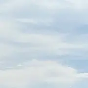 しん
