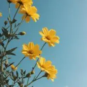 すなめり　プロフ確認お願いします☺︎の画像