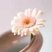 うにの画像