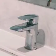 シライシの画像