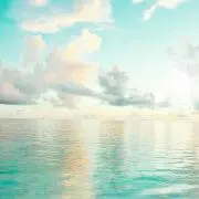 ぱるる
