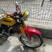 しょぴの画像