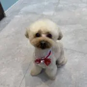 fmy