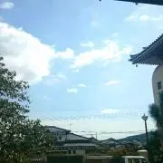 シープ