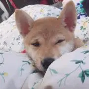 みん♥︎