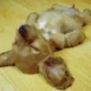 ピッピ*ˊᵕˋ*断捨離中です