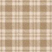 Yの画像