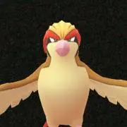 かっちゃんの画像