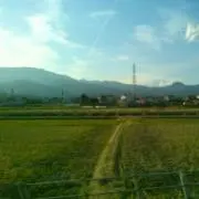ドンどこ