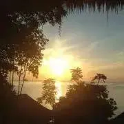 KO0823の画像