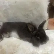 まさ