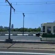 マリアの画像