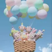 まろんの画像