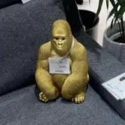 じゅんの画像