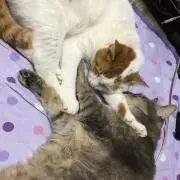 たるもな【プロフ必ず読んでください】