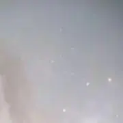 ぼあの画像