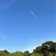 ⭐︎ミカン⭐︎の画像