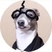 こうしの画像